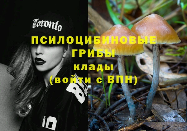mdma Кукмор