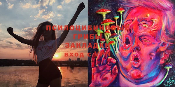 Альфа ПВП Няндома
