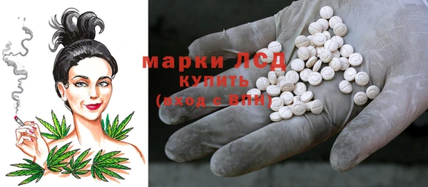 Альфа ПВП Няндома